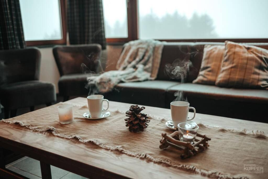Les Loneux 27 Pers, Malmedy - Vue Incroyable - Wellness, Billard, Home Cinema エクステリア 写真